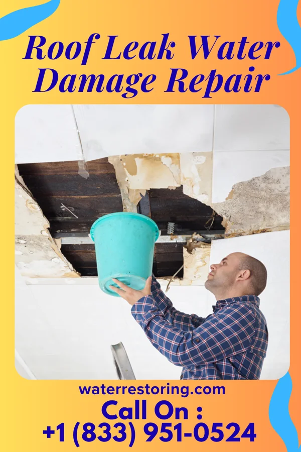Roof Leak Water Damage Repair in Colonial Pine Hills, SD